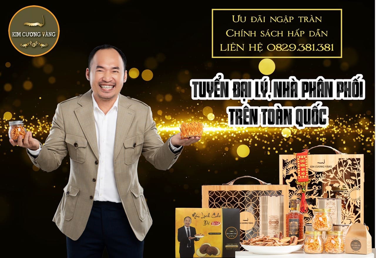 Tuyển đại lý và nhà phân phối trên toàn quốc|Đông trùng hạ thảo kim cương vàng