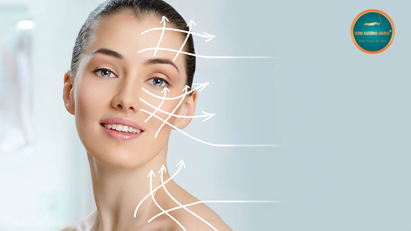 collagen là gì 3 tác dụng của collagen 