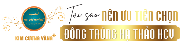 Tại sao nên chọn đông trùng hạ thảo Kim Cương Vàng