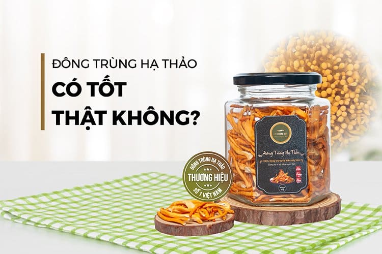 Đông trùng hạ thảo có tốt không?