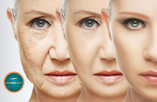 Collagen làgì? 3 tác dụng của collagen