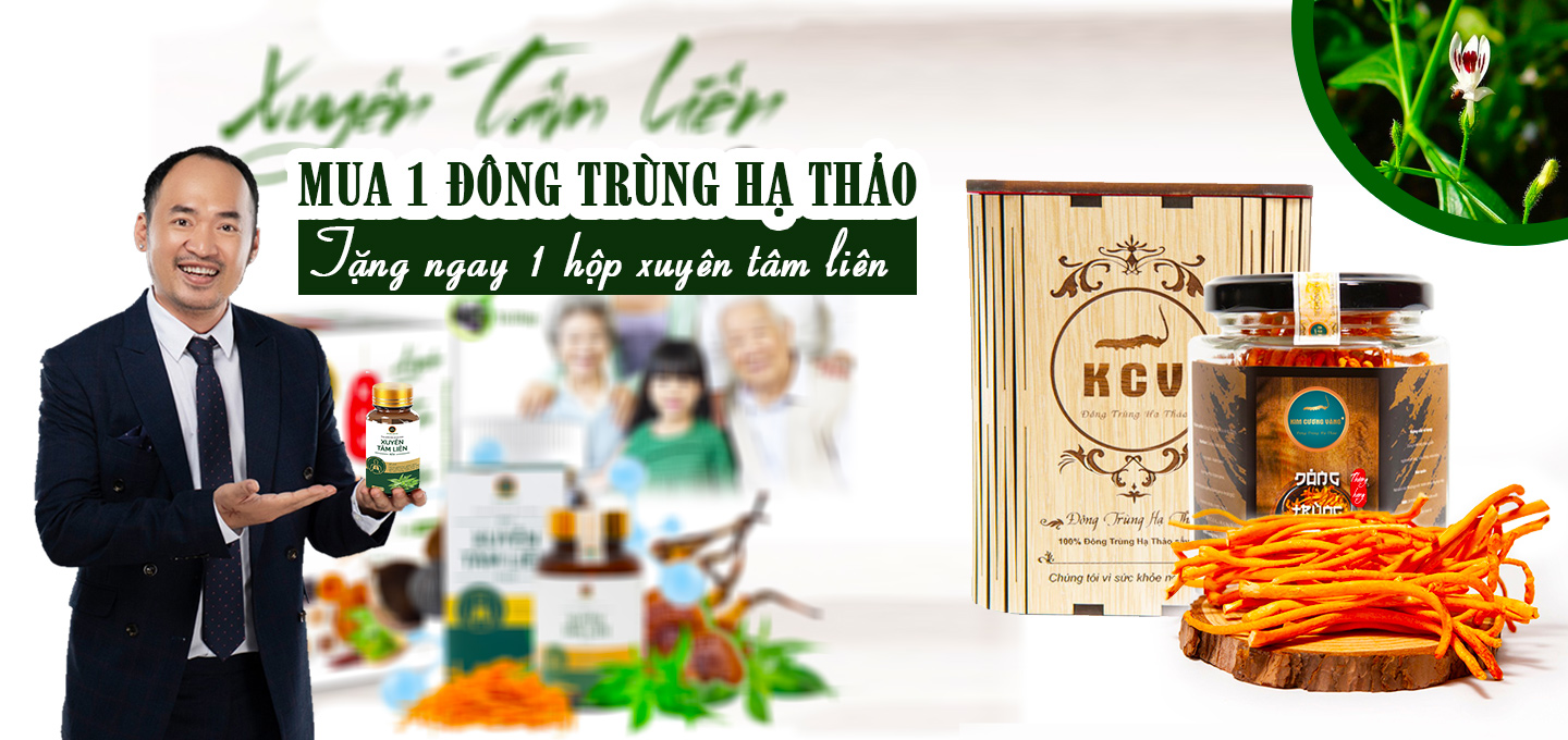 Mua 1 đông trùng hạ thảo tặng 01 xuyên tâm liên