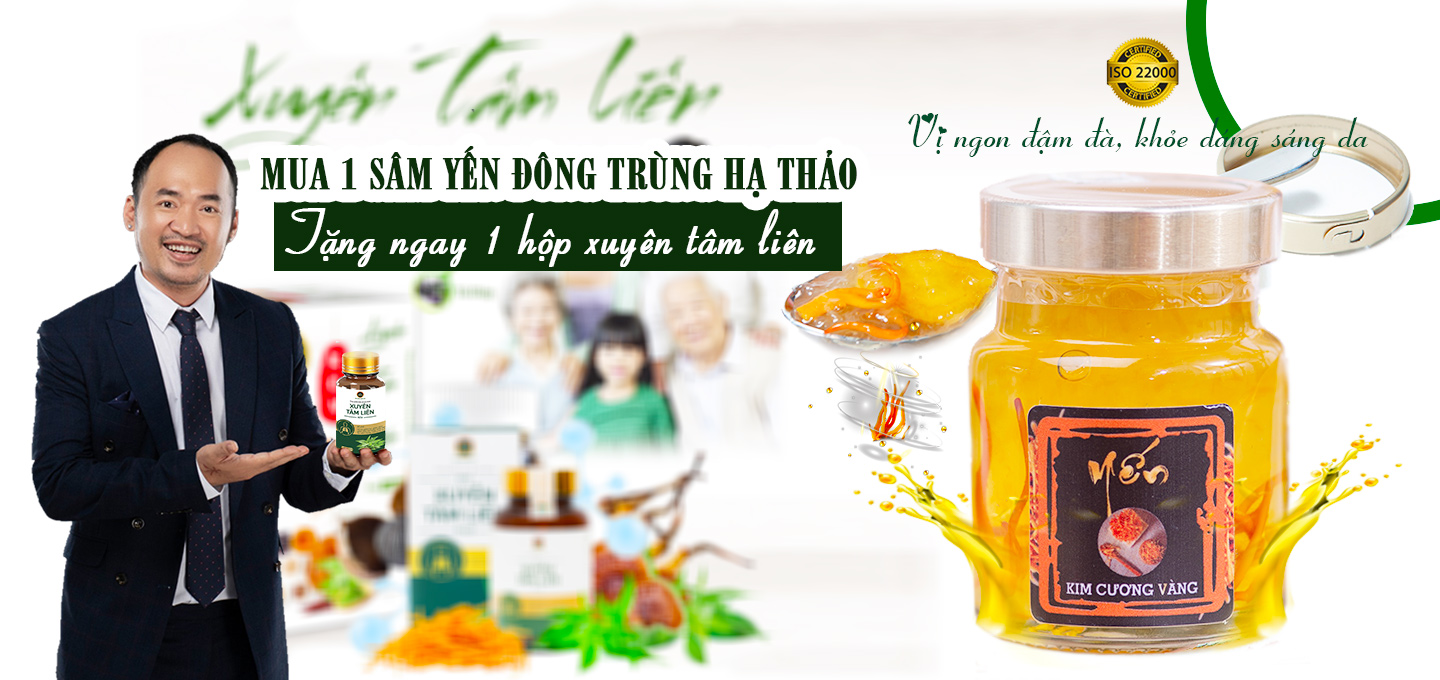 Mua 1 sâm yến đông trùng hạ thảo tặng 01 xuyên tâm liên