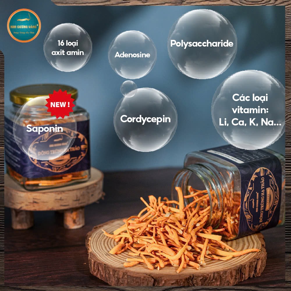 Đông Trùng Hạ Thảo Legend 20g|Mua 1 tặng 1