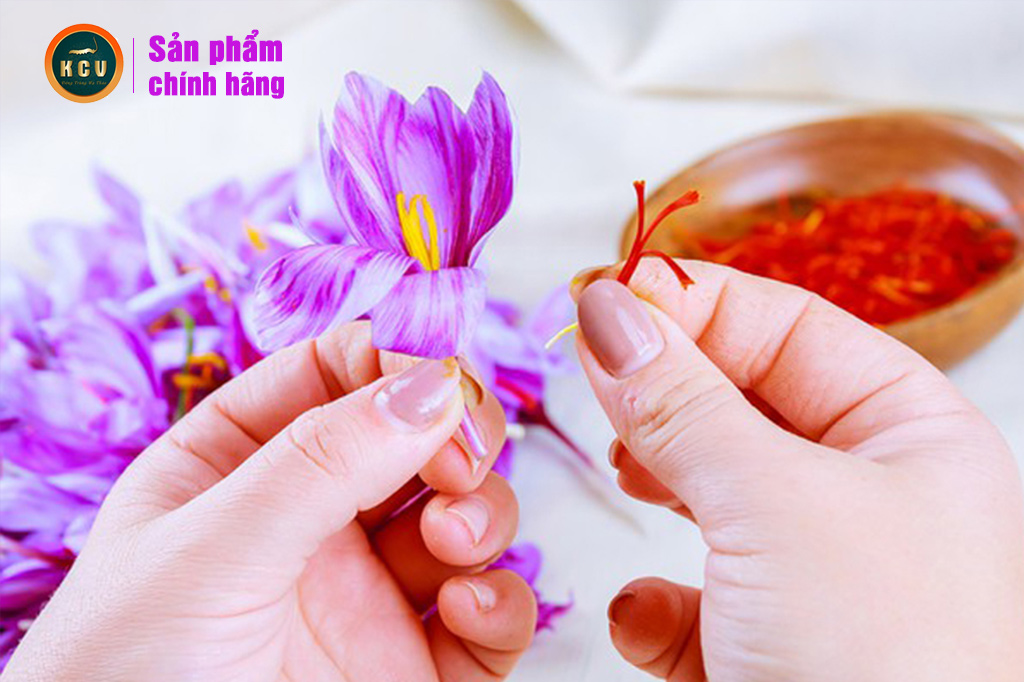 Saffron - Nhụy Hoa Nghệ Tây Kim Cương Vàng (1g/Hộp)