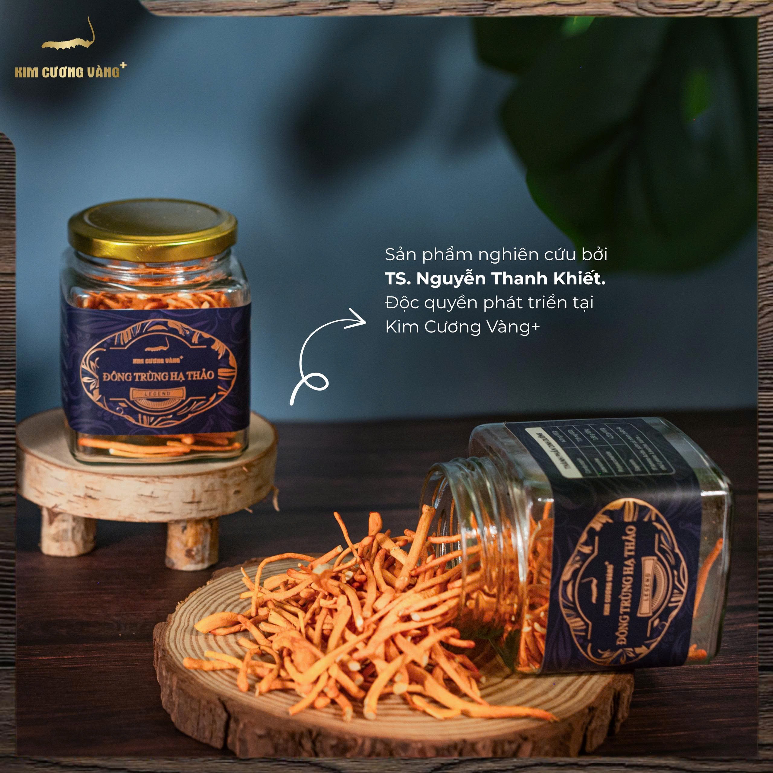 Đông Trùng Hạ Thảo Legend 20g|Mua 1 tặng 1