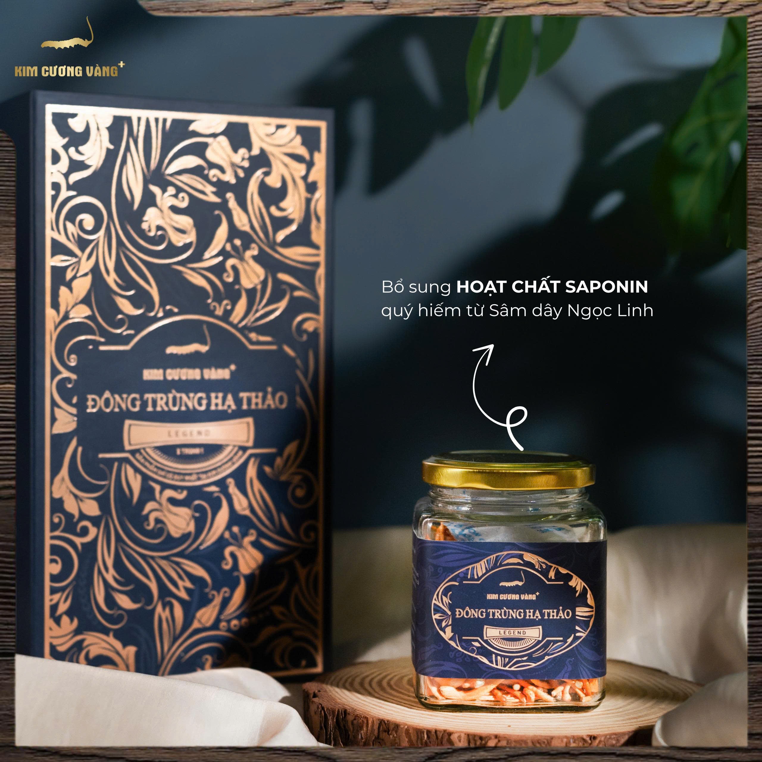 Đông Trùng Hạ Thảo Legend 20g|Mua 1 tặng 1