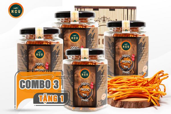 Combo 3 Hộp Đông Trùng Hạ Thảo Khô