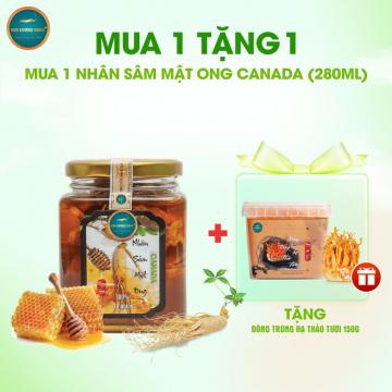 [MUA 1 TẶNG 1] Nhân Sâm Canada Ngâm Mật Ong 280ml Tặng 1 Đông Trùng Tươi